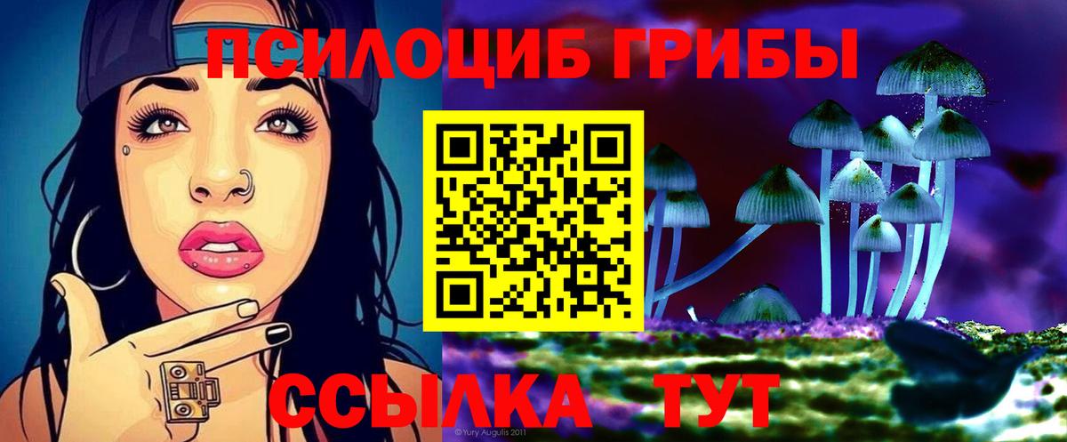 Шатура  Галлюциногенные грибы мицелий  цена   Вход с VPN 